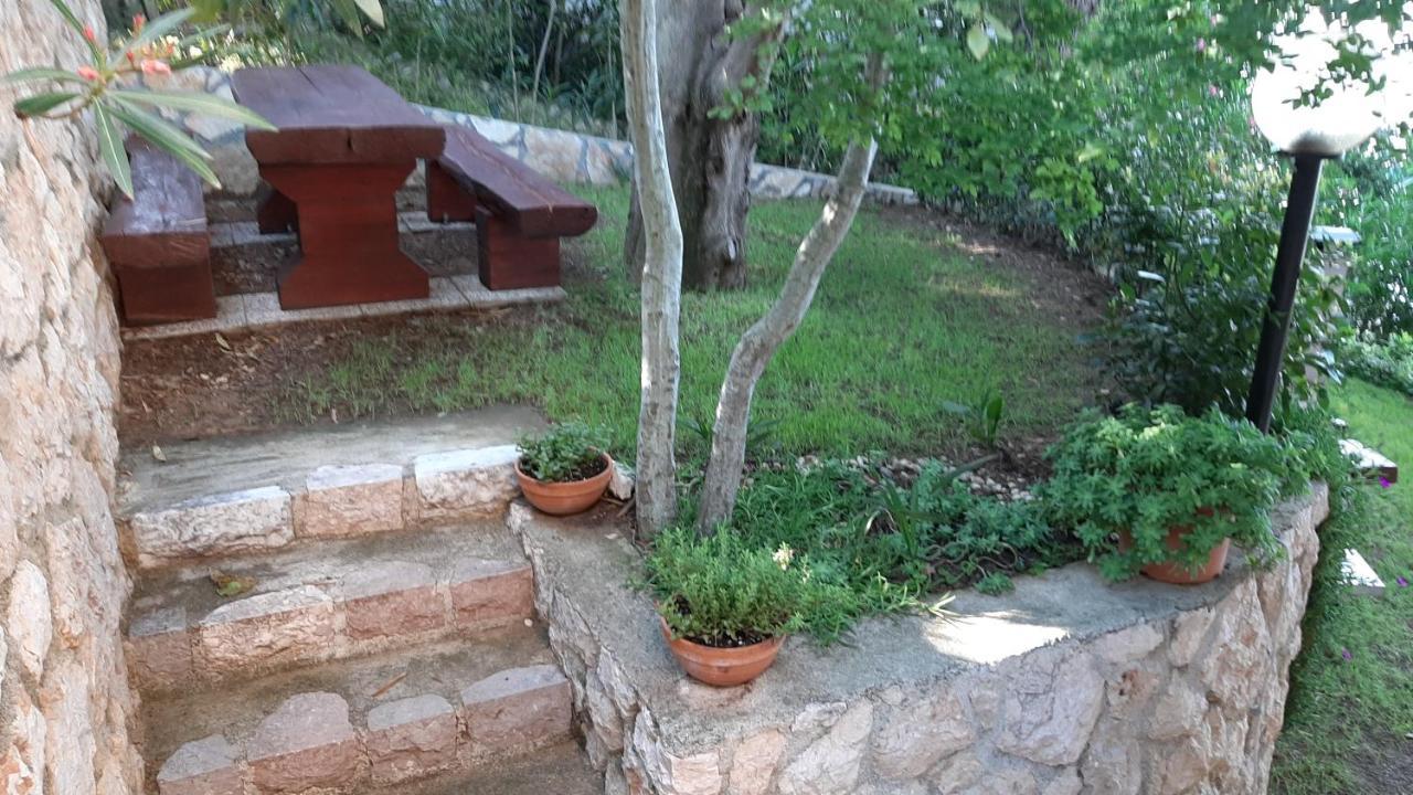 Apartments Agrijan Maslenica Dış mekan fotoğraf